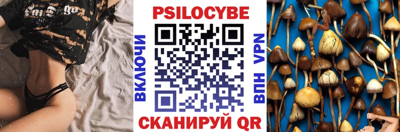 купить наркотик  Ростов  Псилоцибиновые грибы GOLDEN TEACHER 